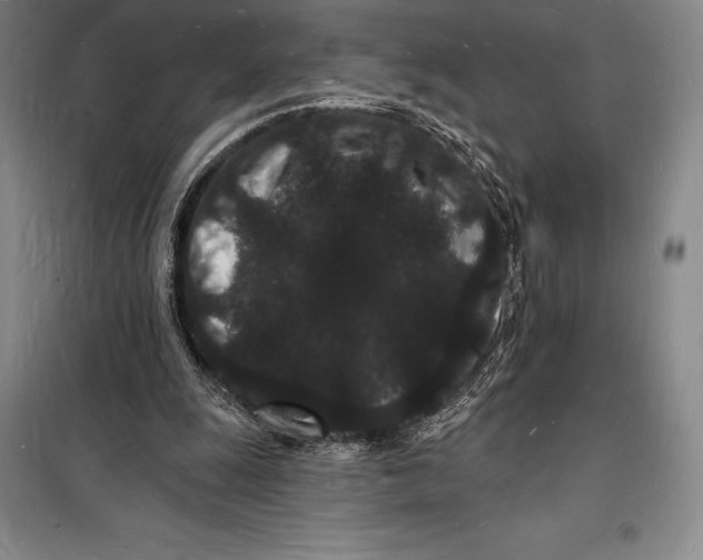 X0000098230247200805151348