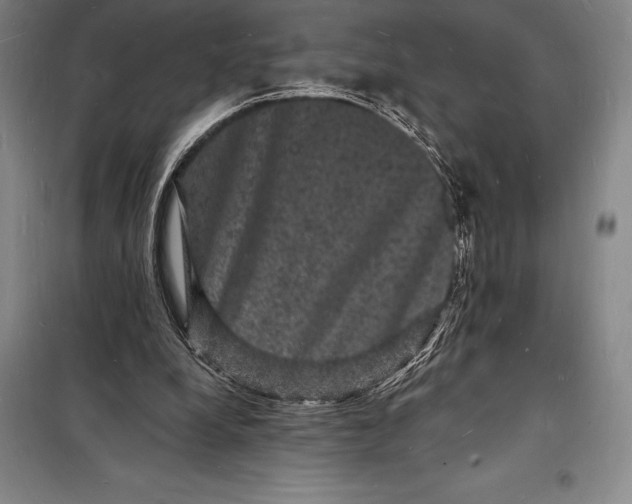 X0000098230248200805151348