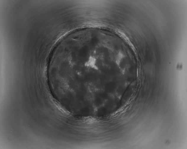 X0000098230249200805151348