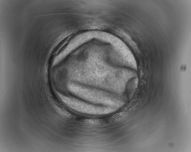 X0000098230250200805151348