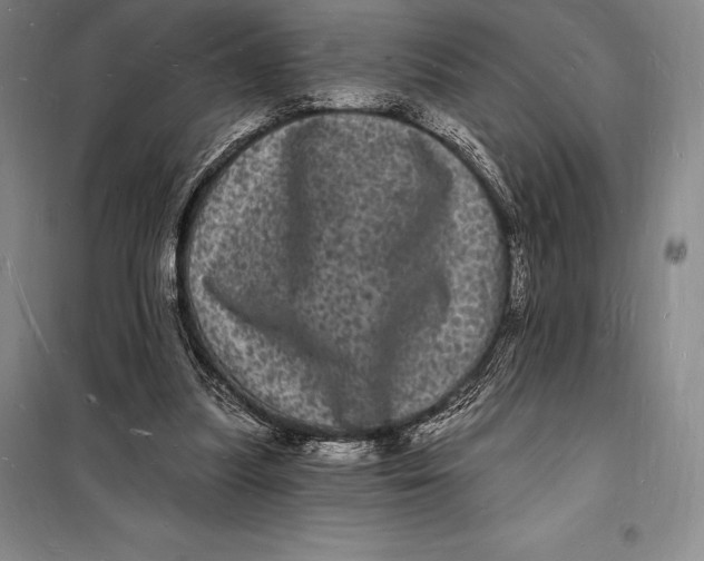 X0000098230251200805151348