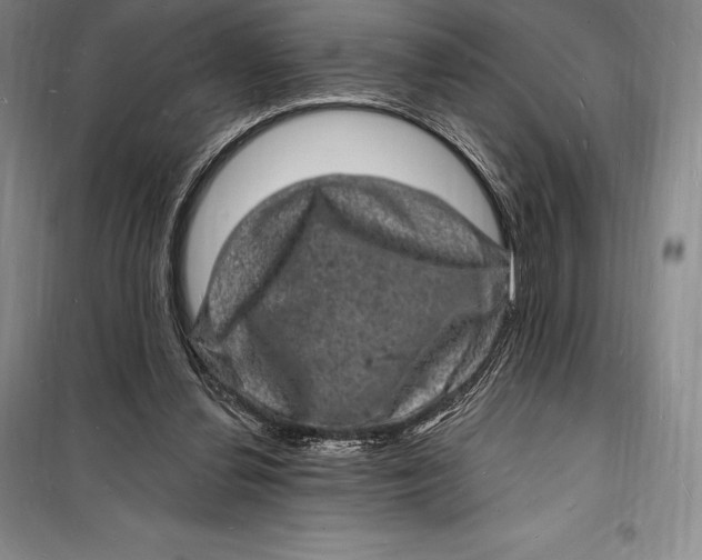 X0000098230252200805151348