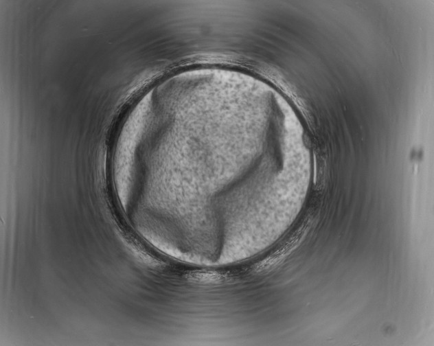 X0000098230253200805151348