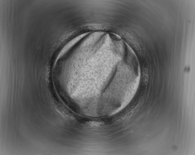 X0000098230255200805151348