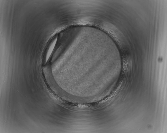 X0000098230256200805151348