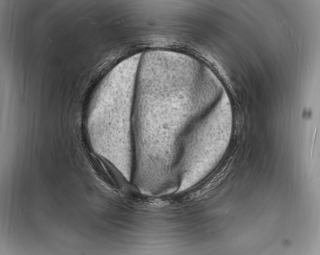 X0000098230257200805151348