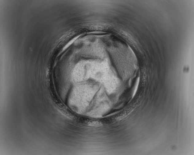 X0000098230258200805151348