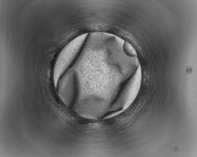 X0000098230259200805151348