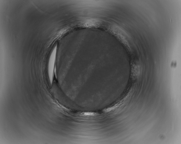 X0000098230260200805151348