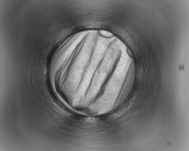 X0000098230261200805151348