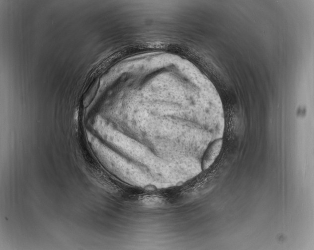 X0000098230262200805151348