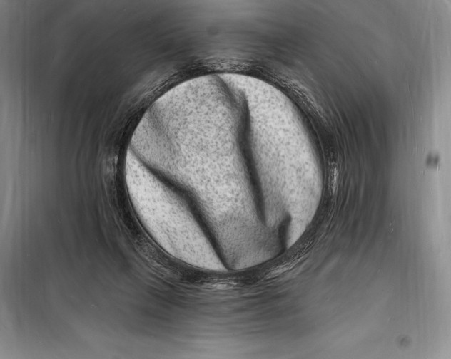 X0000098230263200805151348