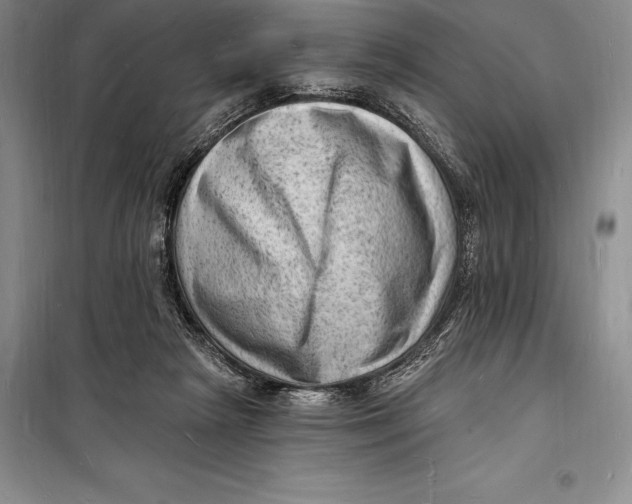 X0000098230265200805151348