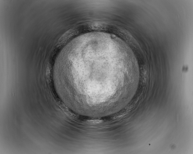 X0000098230266200805151348