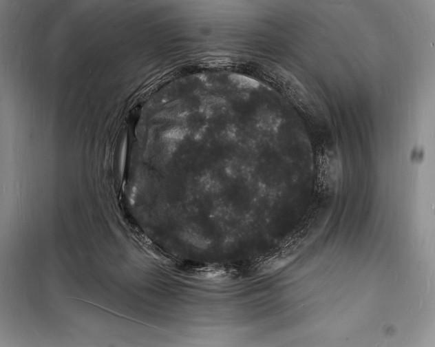 X0000098230267200805151348