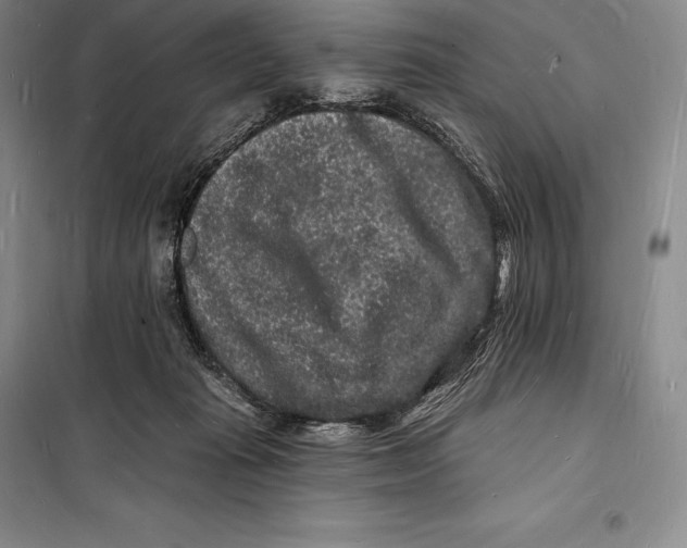 X0000098230269200805151348