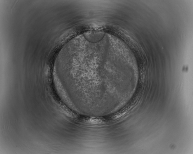 X0000098230270200805151348