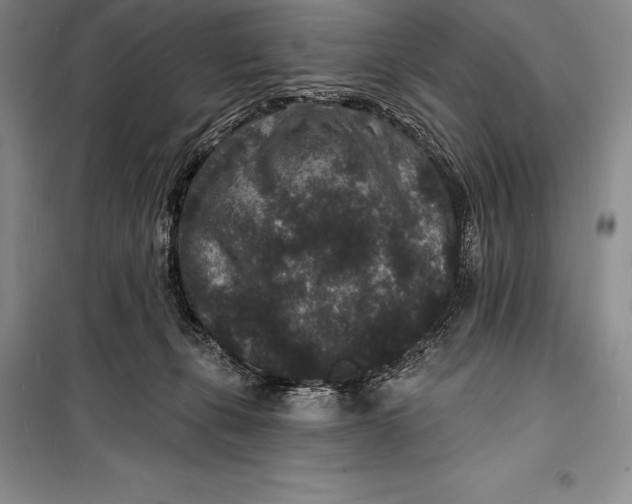 X0000098230271200805151348