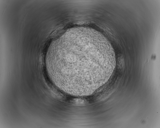 X0000098230272200805151348