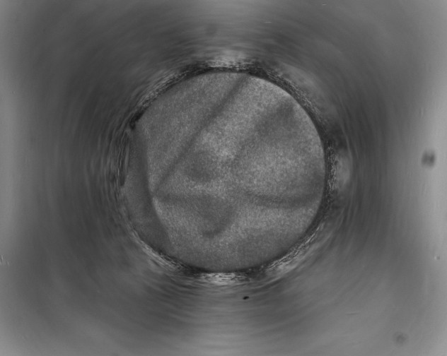 X0000098230273200805151348