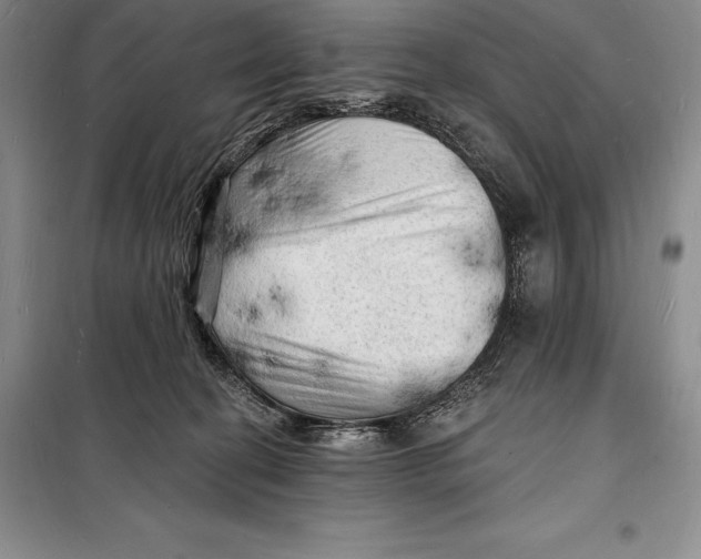 X0000098230274200805151348