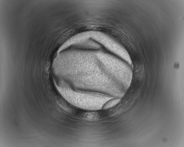 X0000098230275200805151348