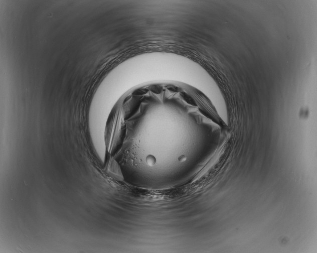 X0000098230276200805151348