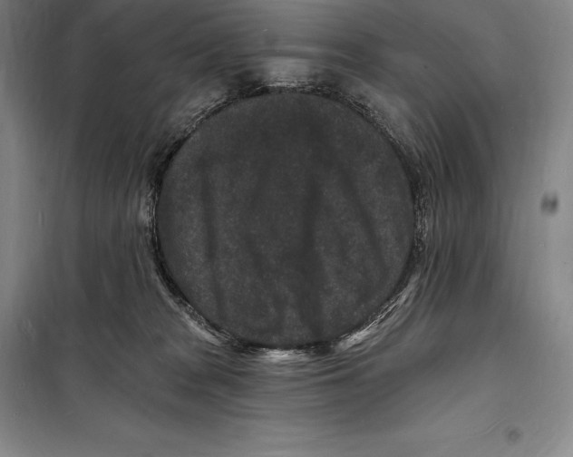 X0000098230277200805151348