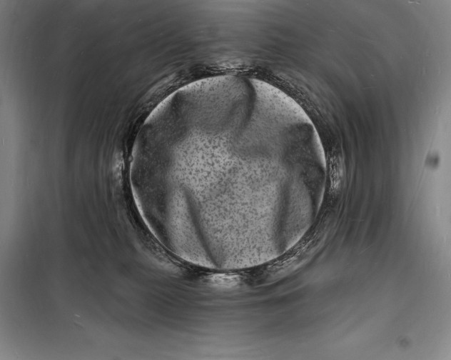 X0000098230279200805151348