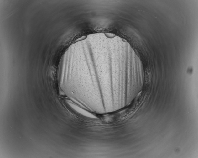 X0000098230280200805151348