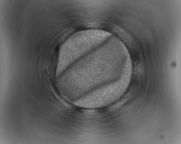 X0000098230281200805151348