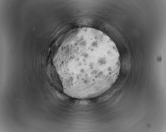 X0000098230282200805151348