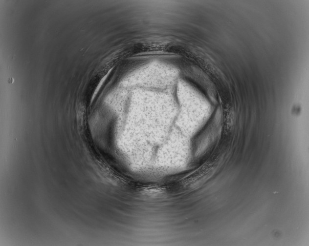 X0000098230283200805151348