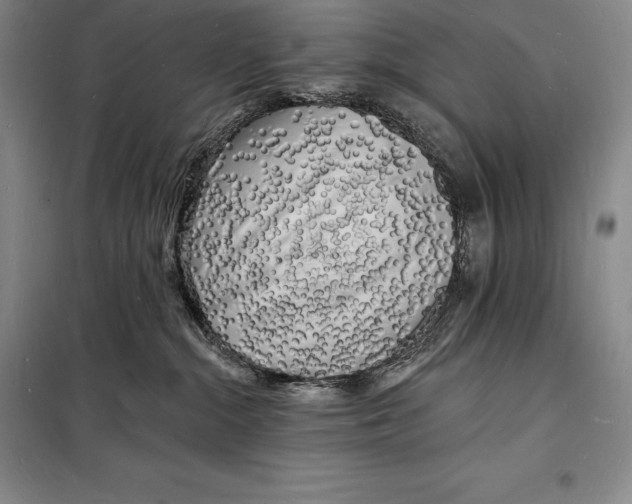 X0000098230284200805151348