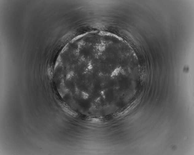 X0000098230285200805151348