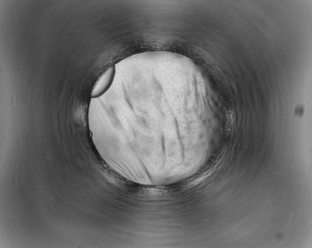 X0000098230286200805151348