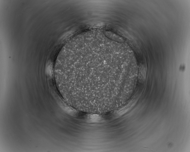 X0000098230287200805151348