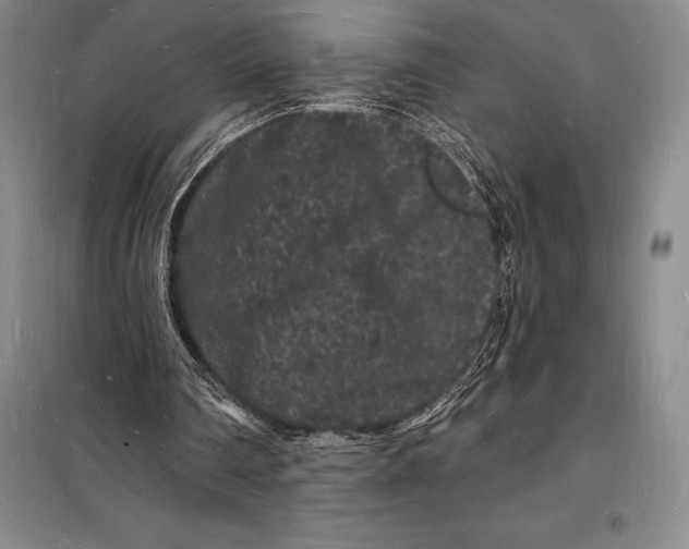 X0000098230290200805151348