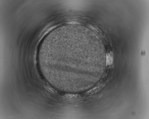 X0000098230291200805151348