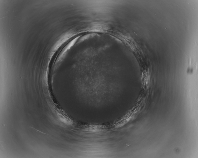 X0000098230292200805151348