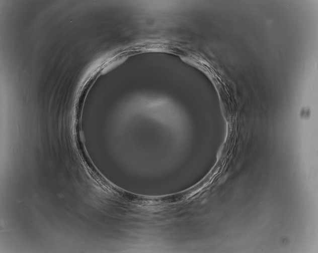 X0000098230293200805151348