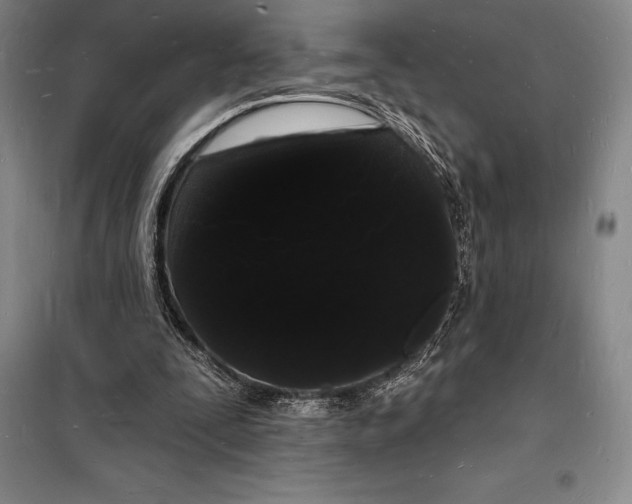 X0000098230295200805151348