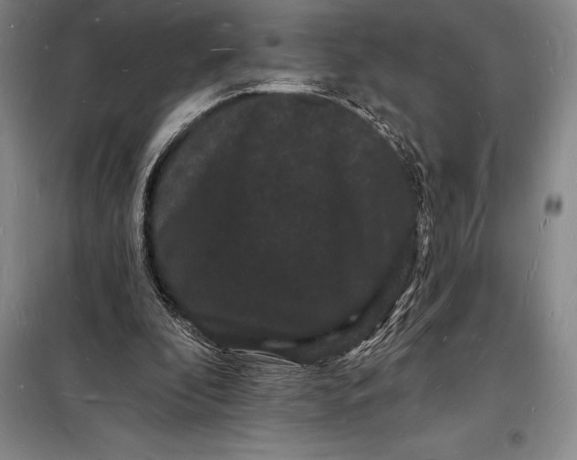 X0000098230296200805151348