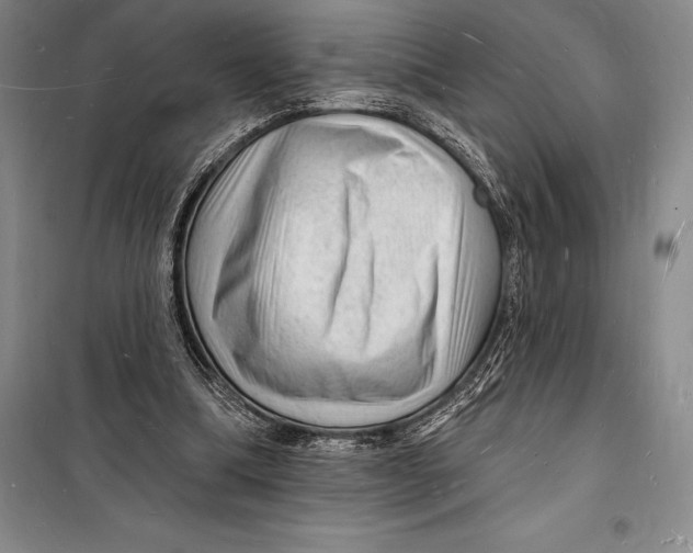 X0000098230298200805151348