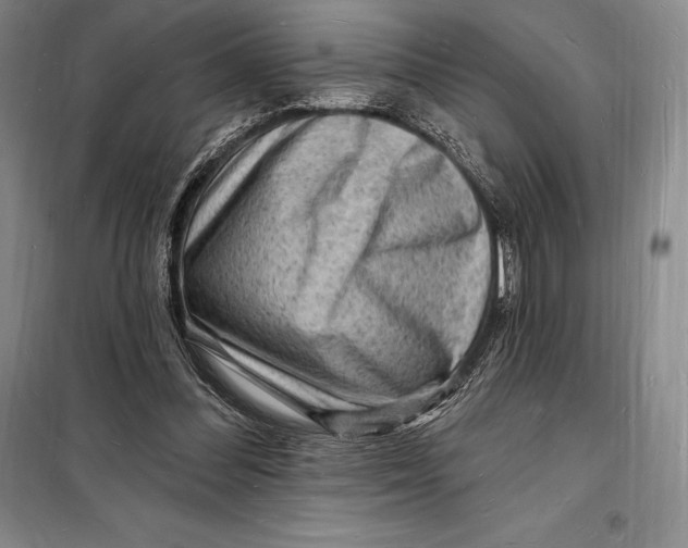 X0000098230300200805151348