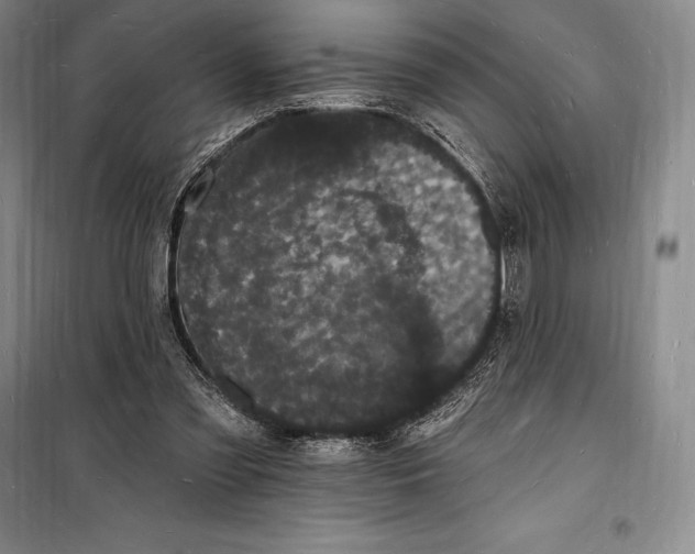 X0000098230301200805151348