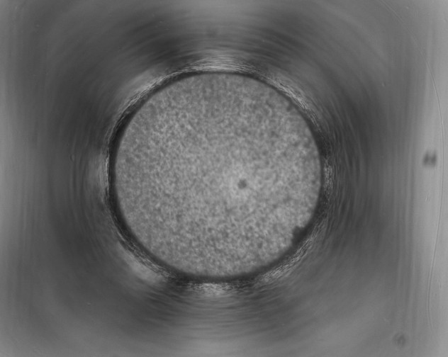 X0000098230302200805151348