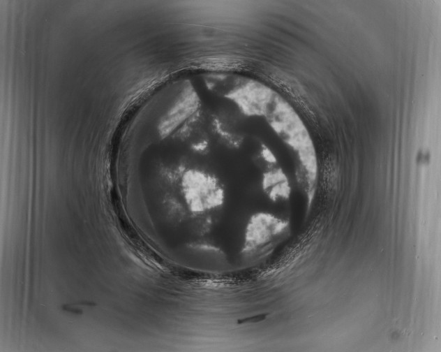 X0000098230303200805151348