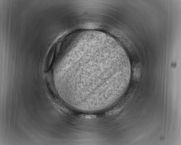 X0000098230304200805151347