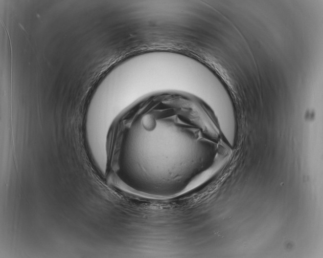 X0000098230305200805151347